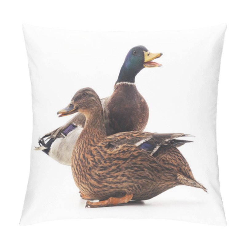 Personality  Wild Ducks Isolated. Pillow Covers