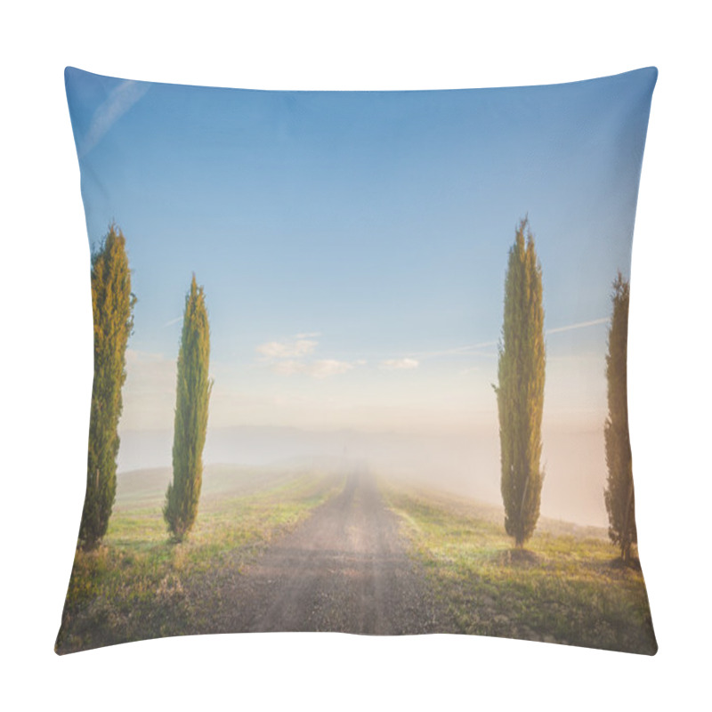 Personality  Tuscan Cypress Trees On The Fields In A Fantastic Light Of The R Pillow Covers