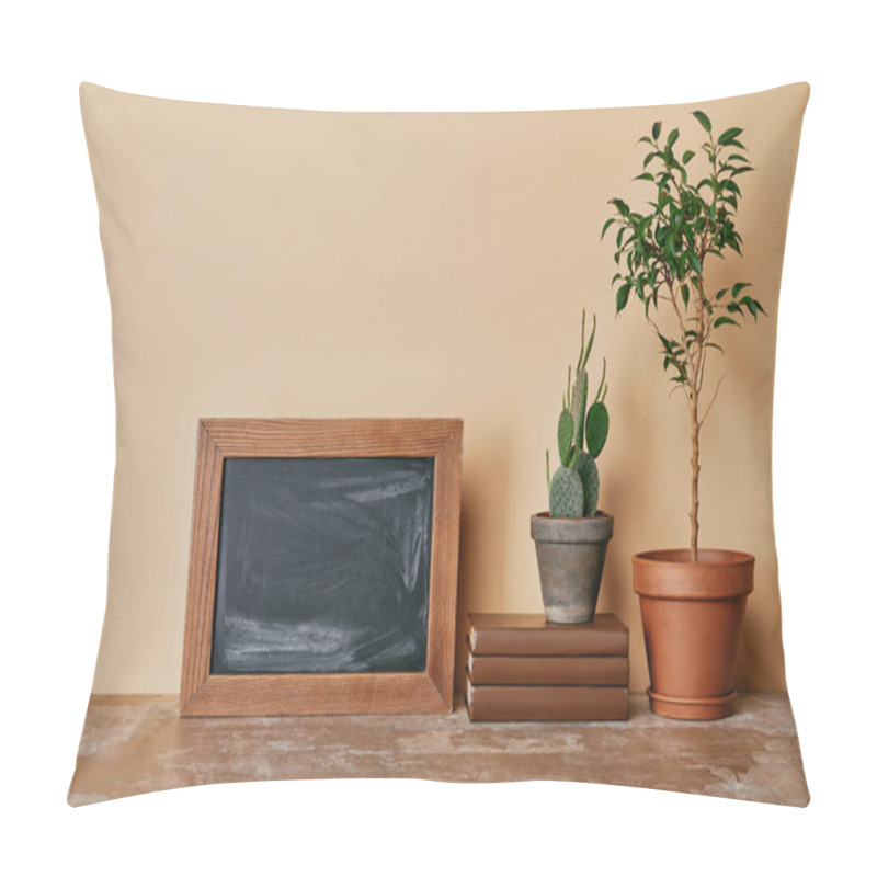 Personality  Plants In Flowerpots, Photo Frame And Books On Beige Background Pillow Covers