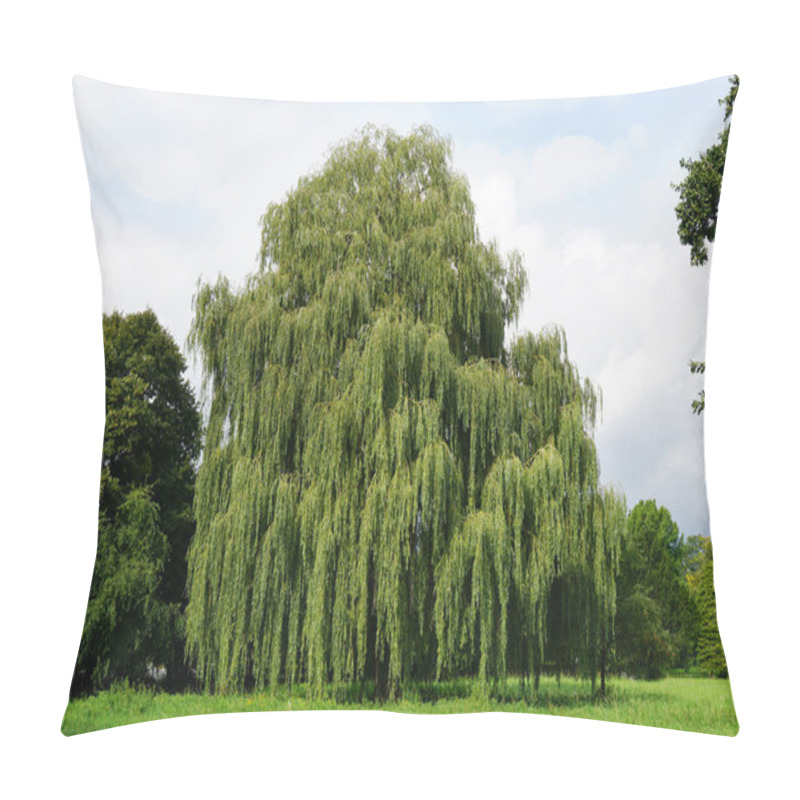 Personality  Weeping Willow Tree Pillow Covers