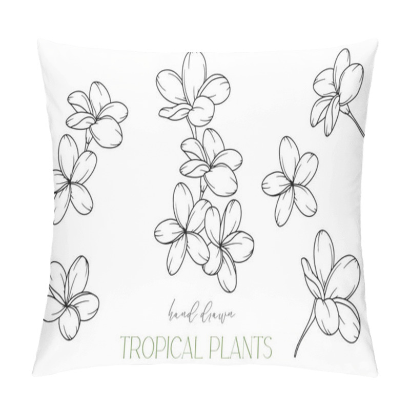 Personality  Plumeria Outline. Tropical Flowers Outline. Line Art Tropical Plants. Floral Line Art. Flower Coloring Page. Fine Line Tropical Greenery Illustration. Hand Drawn Flowers. Tropical Wedding Invitation Flowers Pillow Covers