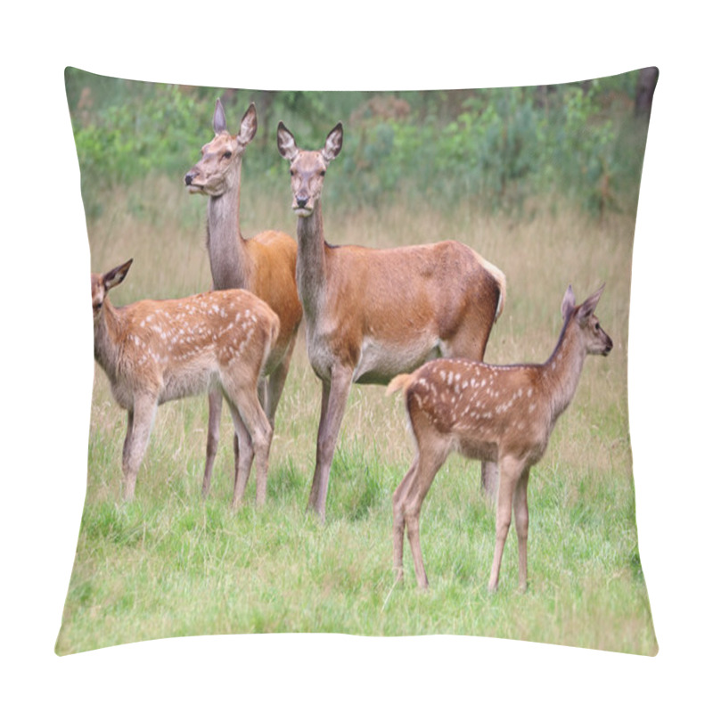 Personality  Red Deers In Forest  Pillow Covers