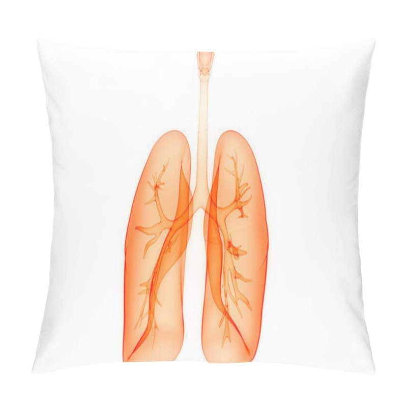 Personality  3D Illustration Of Human Respiratory System, Lungs Anatomy Pillow Covers