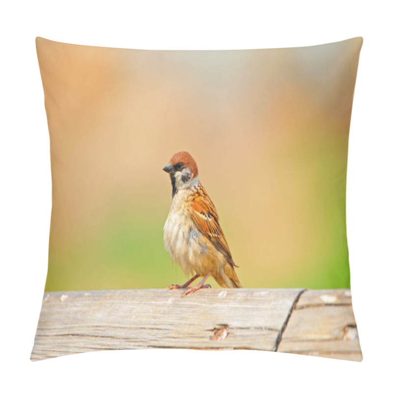 Personality  Flamingos  Telephoto Lens Shooting Pillow Covers