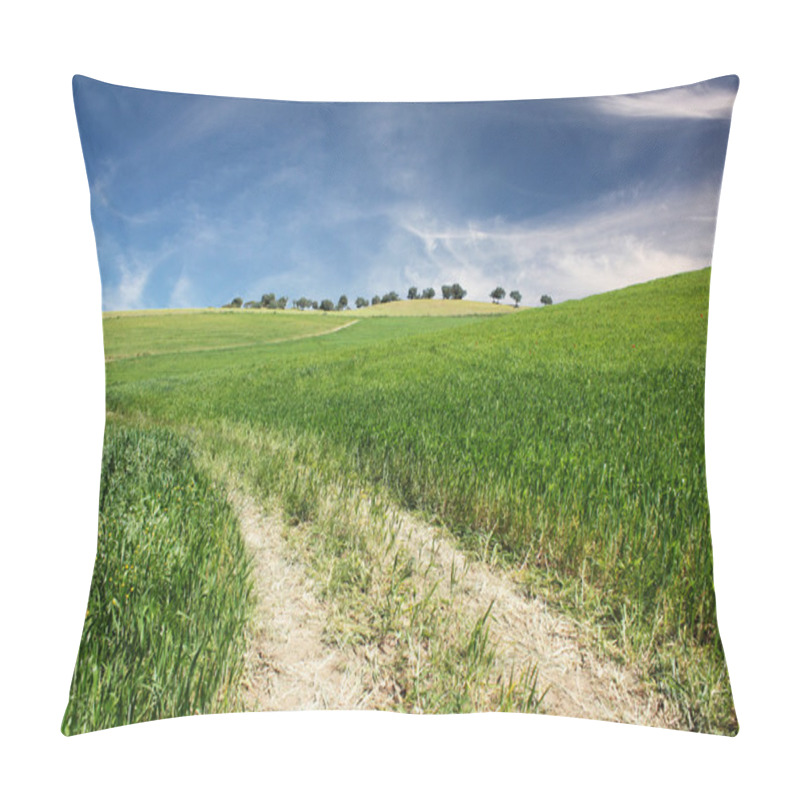 Personality  Dirt Road On Green Grass And Blue Sky Pillow Covers