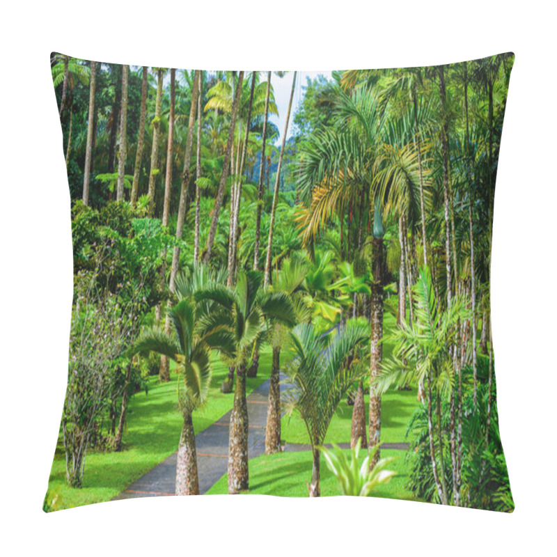 Personality  Balata Garden, Martinique - Paradise Botanic Garden On Tropical Caribbean Island With Suspension Bridges - France Pillow Covers