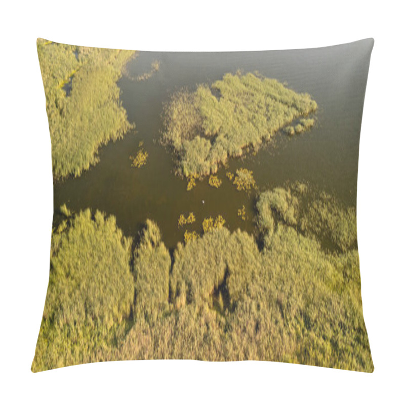 Personality  Aerial View Of Lush Wetlands With Vibrant Green Vegetation Reflecting In The Water. A Serene Landscape Showcasing Nature's Beauty And Ecosystem. Pillow Covers