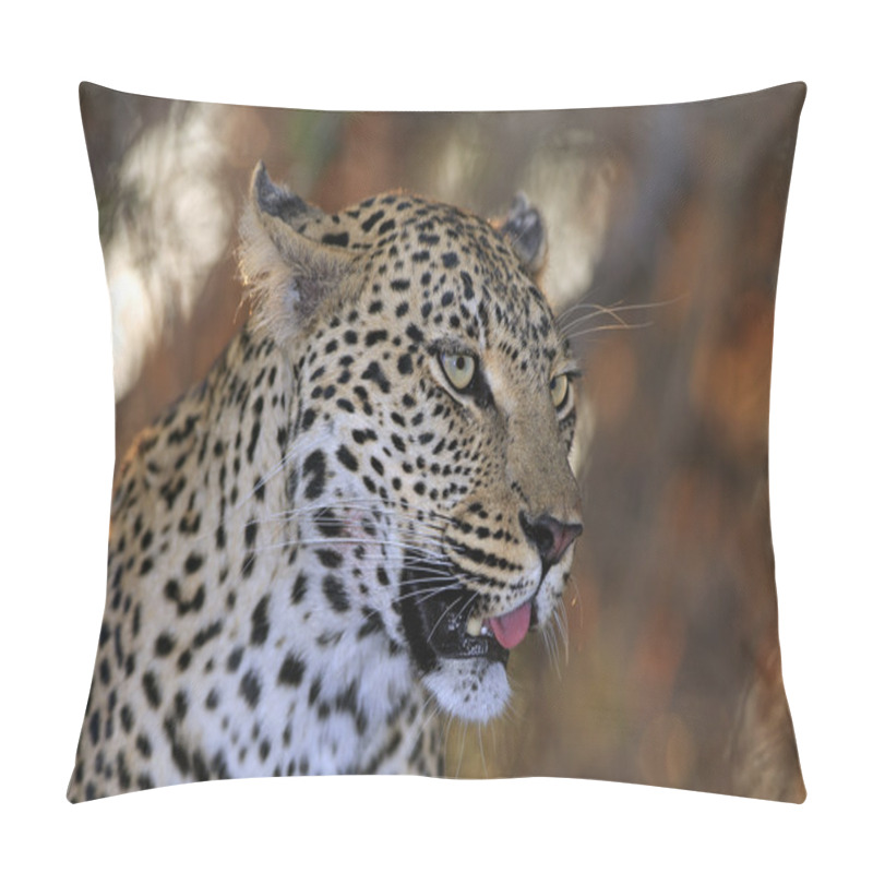 Personality  Wild African Leopard Pillow Covers