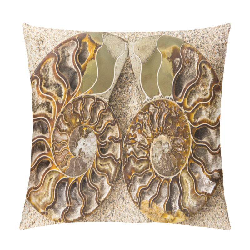 Personality  Spiral Ammonite Fossil On Sand Closeup Background Pillow Covers