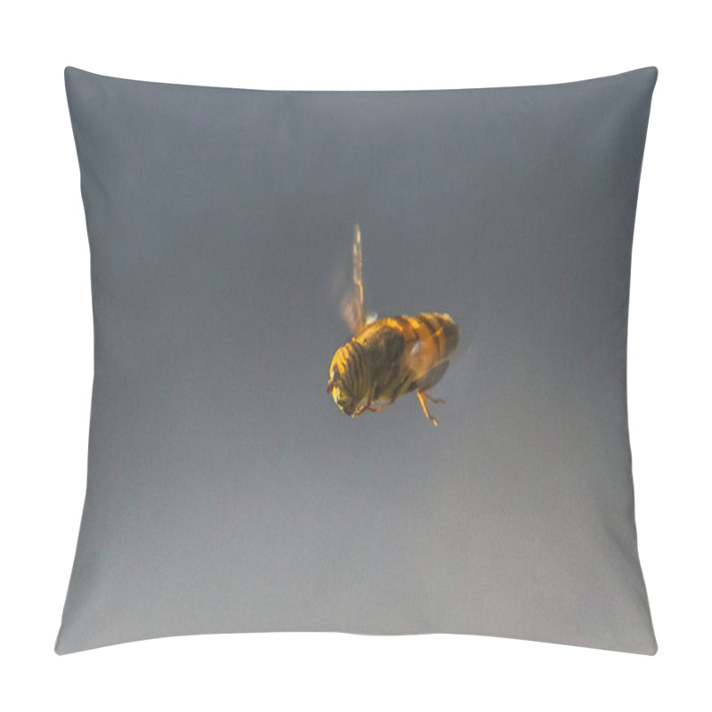 Personality  Eristalinus: Fascinating Insects In Macro Photography Pillow Covers