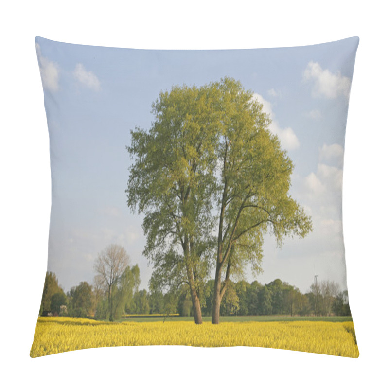 Personality  Tree With Rape Field In Lower Saxony, Germany, Europe Pillow Covers