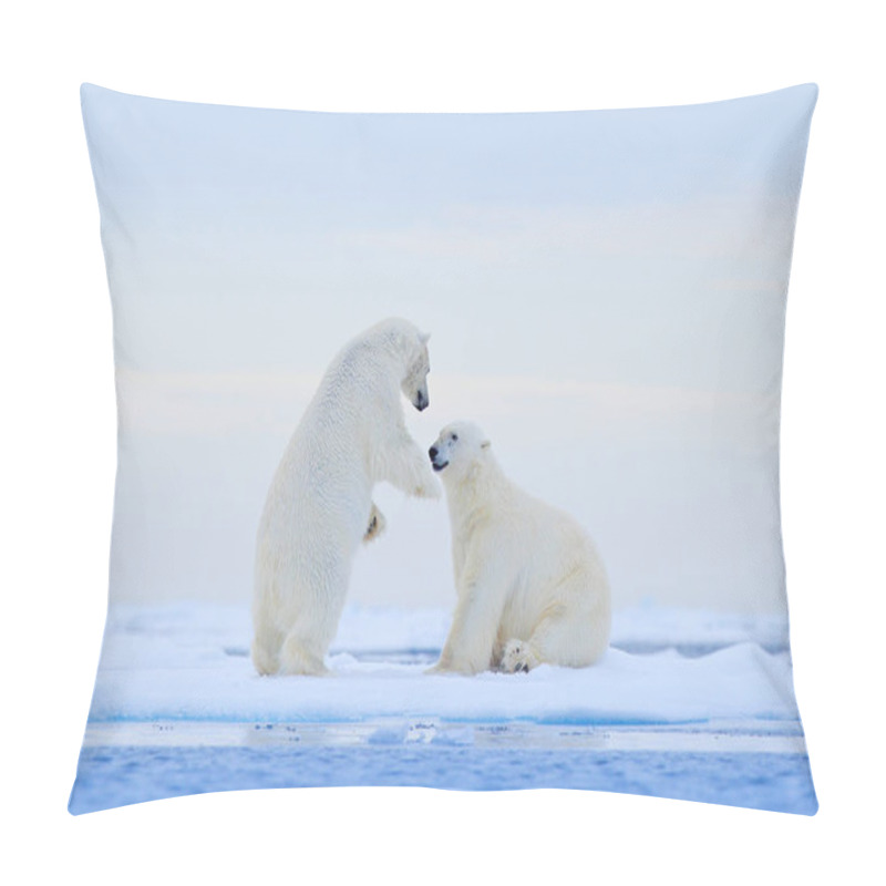 Personality  Polar Bear Dancing On The Ice. Two Polar Bears Love On Drifting Ice With Snow, White Animals In The Nature Habitat, Svalbard, Norway. Animals Playing In Snow, Arctic Wildlife. Funny Image From Nature. Pillow Covers