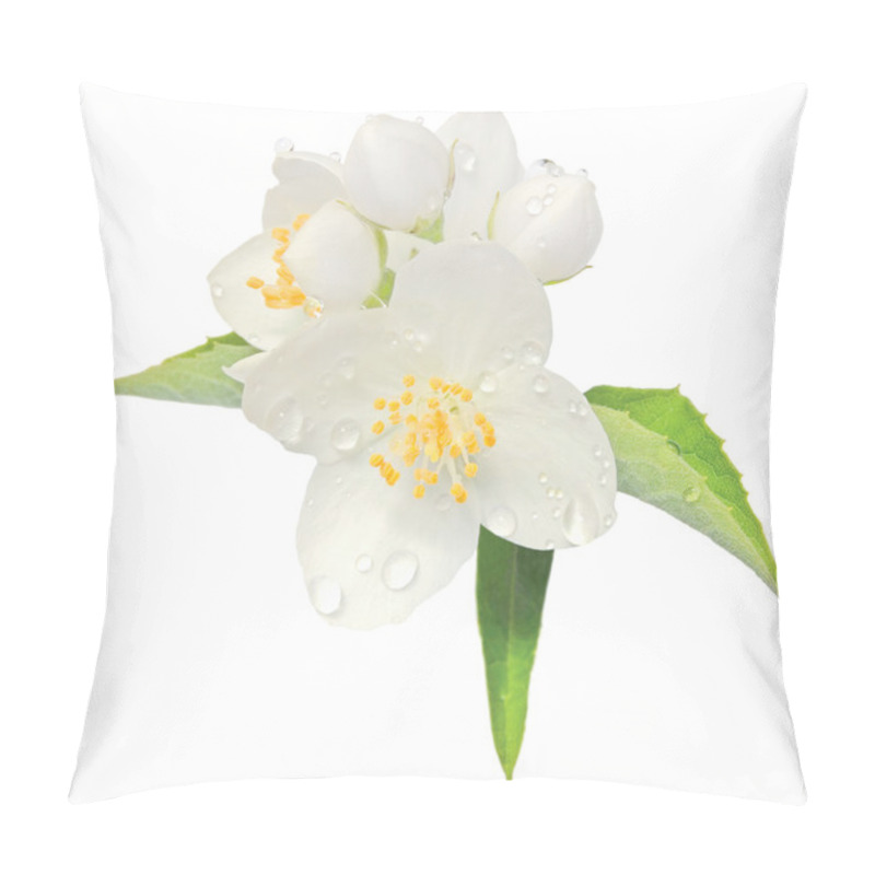 Personality  Jasmine Flower Mock Orange Blossom Macro Closeup Isolated, Philadelphus Pillow Covers