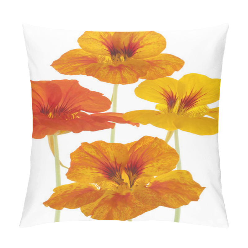 Personality  Nasturtium Pillow Covers