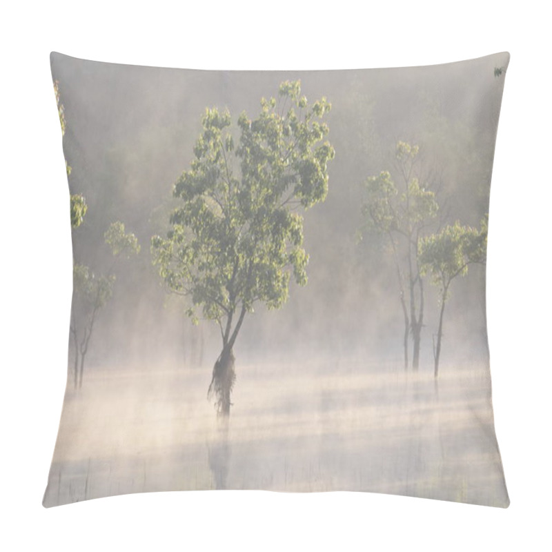 Personality  Submerged Trees And Fishing Man On The Lake With Dense Fog And Magic Light At Sunrise Pillow Covers