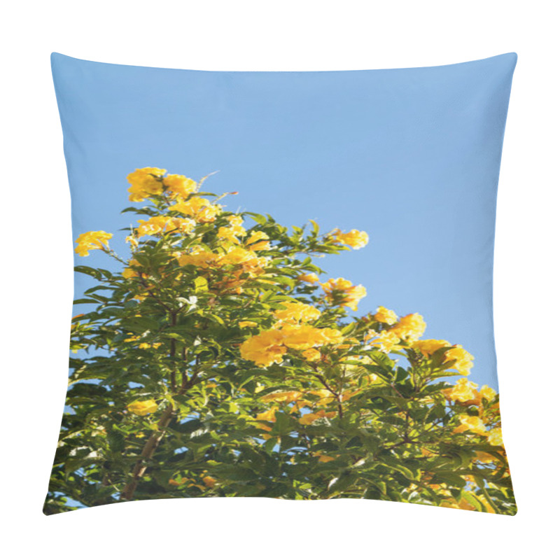 Personality  Blooming Tree, Yellow Large Flowers Against The Blue Sky. Pillow Covers