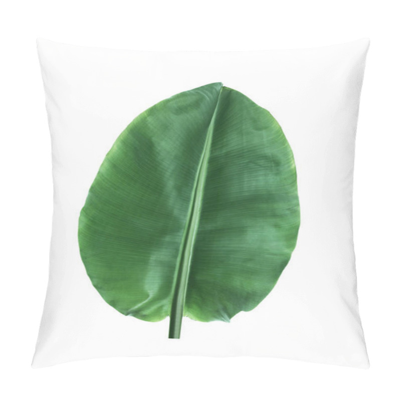 Personality  Fresh Green Banana Leaf On White Background. Tropical Foliage Pillow Covers