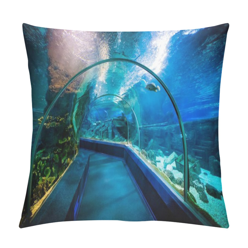 Personality  SOCHI, RUSSIA - DECEMBER 13, 2017: Sochi Discovery World Aquariu Pillow Covers