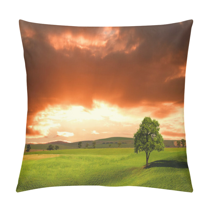 Personality  Sunset Over Farm Field With Lone Tree Pillow Covers