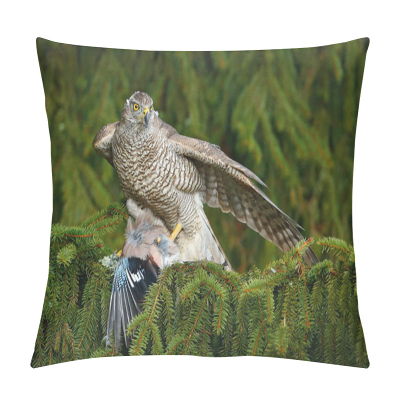 Personality  Goshawk With Dead Jay On Spruce Tree Pillow Covers