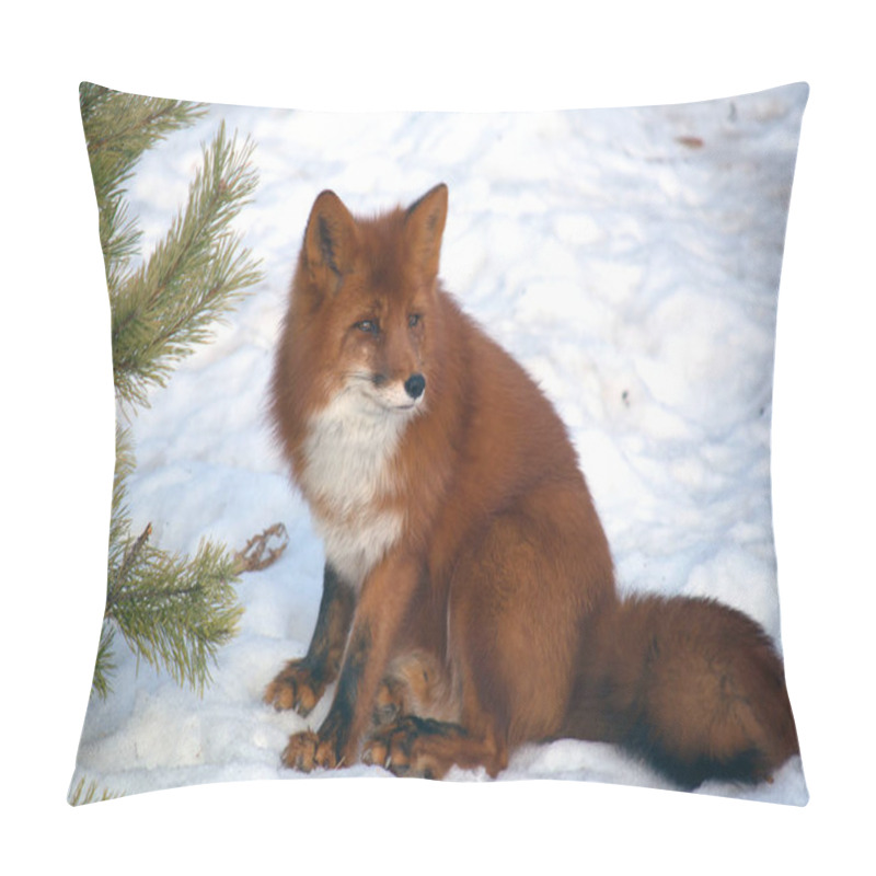 Personality  Red Fluffy Fox In A Snowy Forest Among Pines Pillow Covers