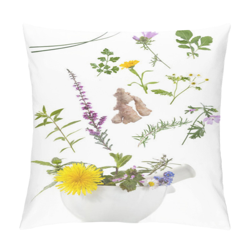 Personality  Healing Herbs In Mortar. Alternative Medicine Concept Pillow Covers