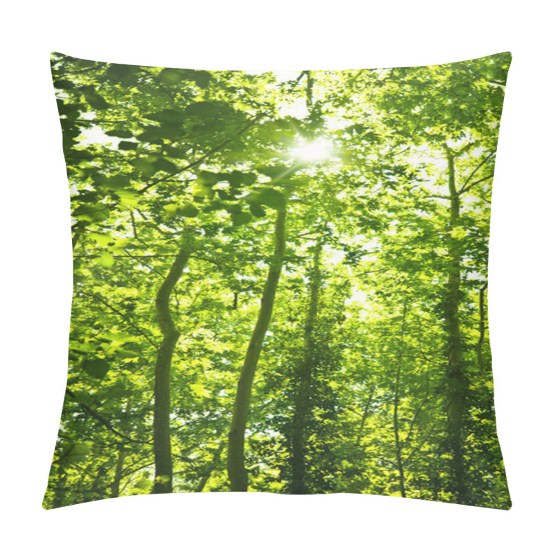 Personality  Green Forest Trees Background Pillow Covers