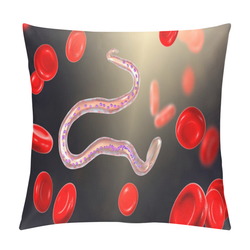 Personality  Wuchereria Bancrofti, A Roundworm Nematode, One Of The Causative Agents Of Lymphatic Filariasis, 3D Illustration Showing Presence Of Sheath Around The Worm And Tail Nuclei Non-extending To Tip Pillow Covers