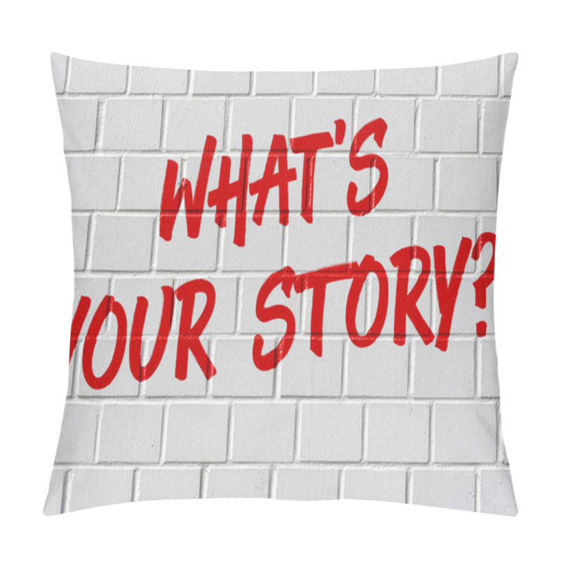 Personality  Graffiti On A Brick Wall - What Is Your Story? Pillow Covers