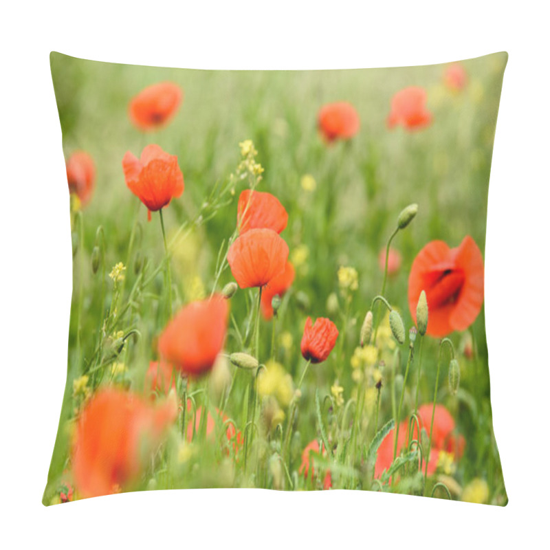 Personality  Poppy Flowers On Field In Warm Summer Day Pillow Covers