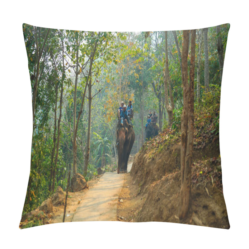 Personality  Chiang Mai, Thailand - March 22, 2019: Tourists Riding Elephants In Wild Forest, At MaeTaeng Elephant Park. People Sitting On Elephant's Backs Pillow Covers