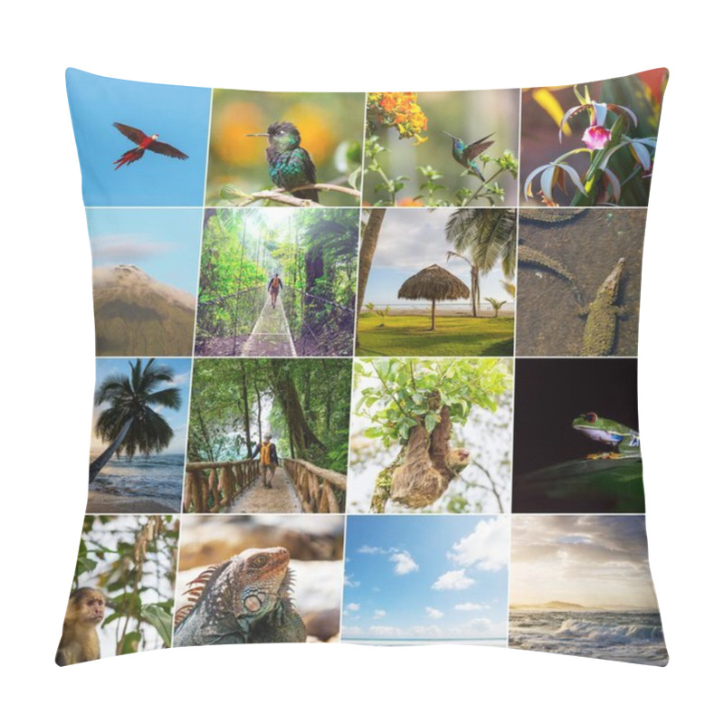 Personality  A Collage Of Diverse Landscape And Animal Images  Of Costa Rica. Pillow Covers