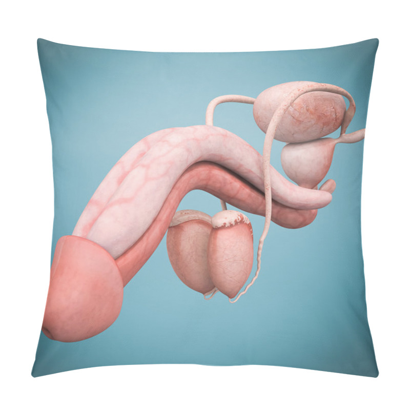 Personality  Model Of Male Reproductive System Pillow Covers