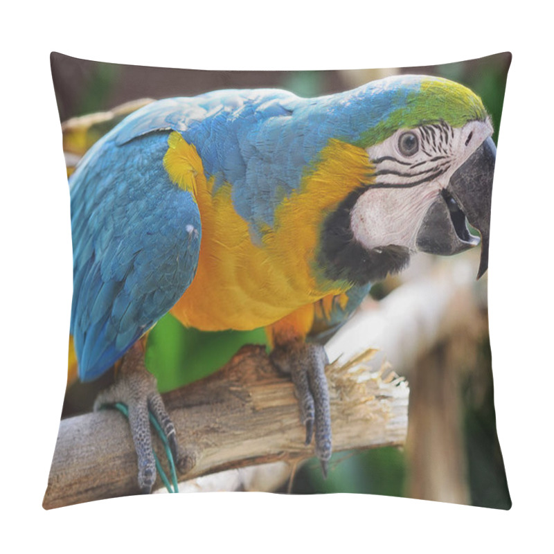 Personality  Brazilan Parrot On The Branch Pillow Covers