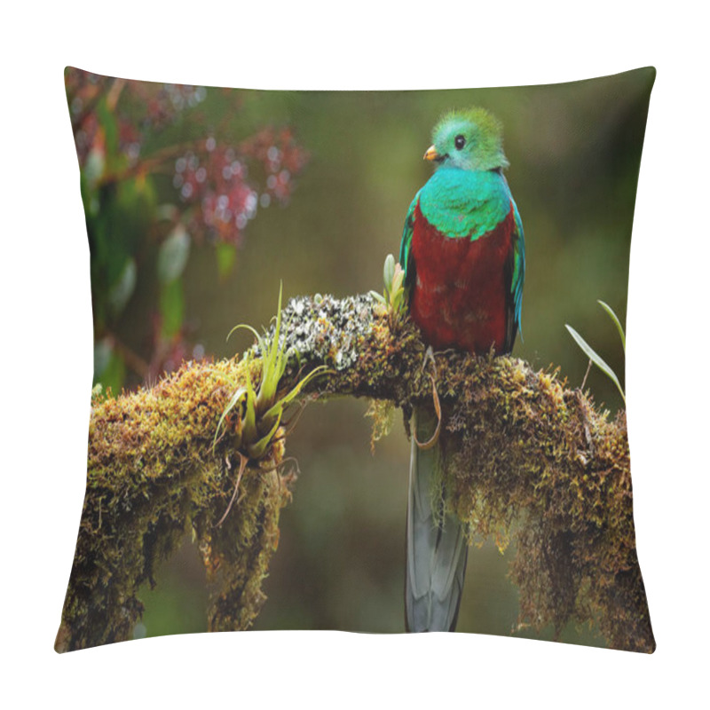 Personality  Quetzal, Pharomachrus Mocinno, From  Nature Costa Rica With Pink Flower Forest. Magnificent Sacred Mystic Green And Red Bird. Resplendent Quetzal In Jungle Habitat. Wildlife Scene From Costa Rica. Pillow Covers