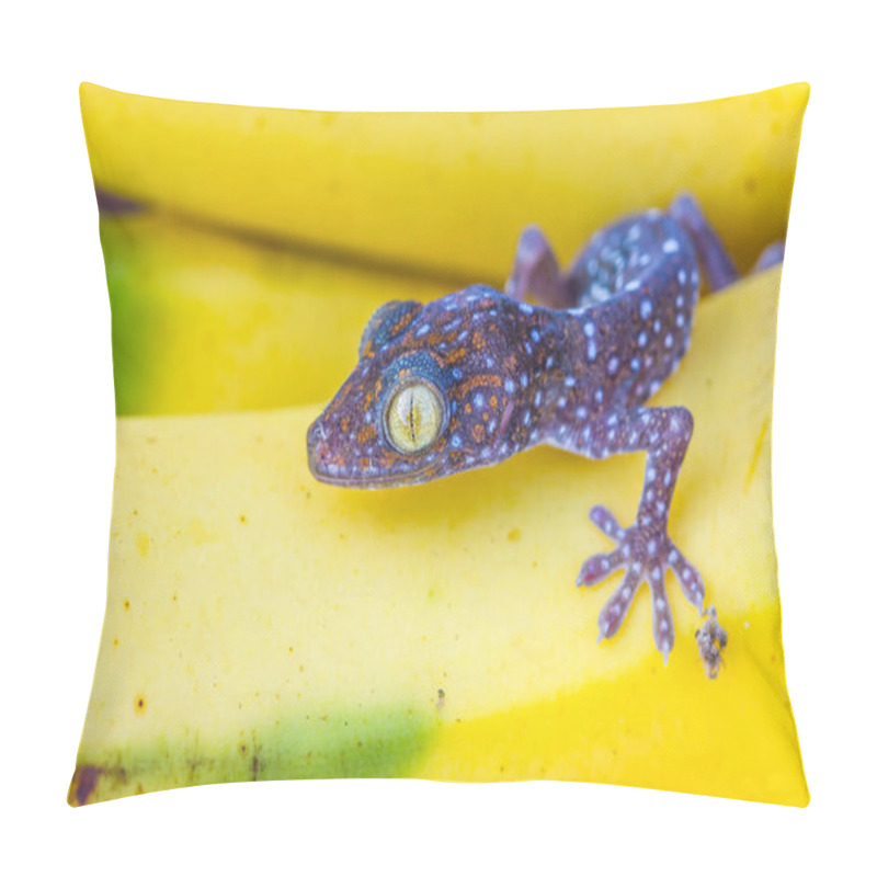 Personality  Cute Young Gecko On Banana Fruit Pillow Covers