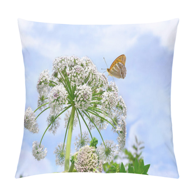 Personality  White Flower ( Heracleum Sphondylium ) Wildflowers On Meadow In Summer. Orange Butterfly With Black Dots Scarce Copper Above Summer Wildflower Pillow Covers