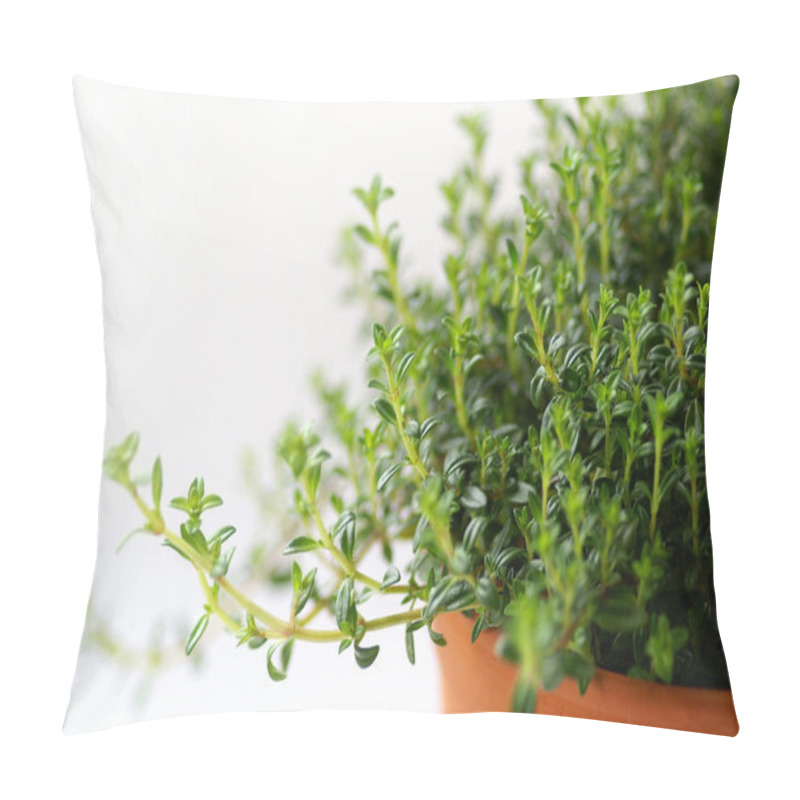 Personality  Beautiful Flora In Garden. Nature  Pillow Covers