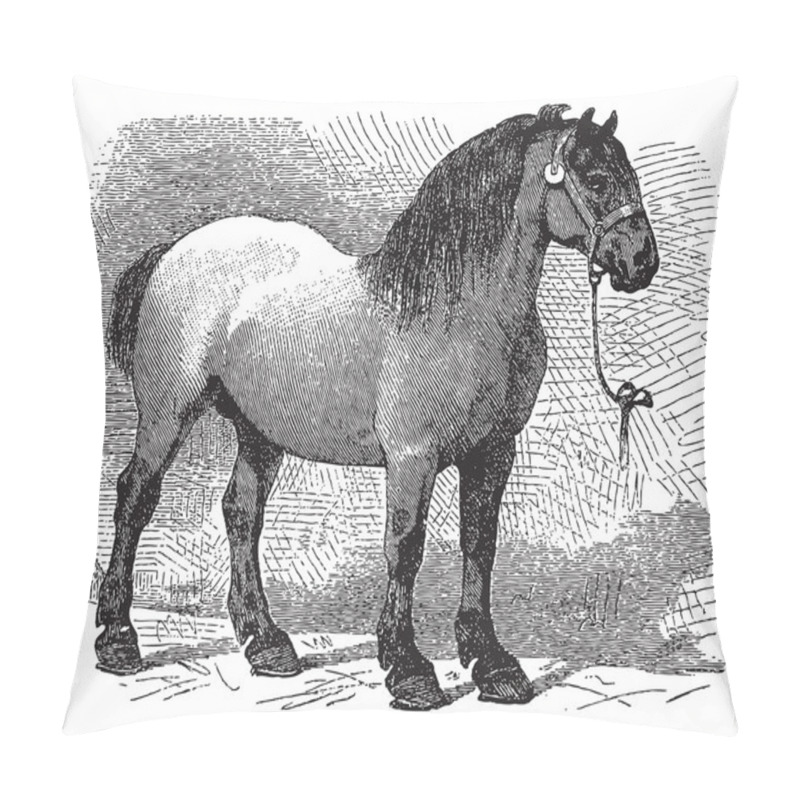 Personality  Horse Pillow Covers