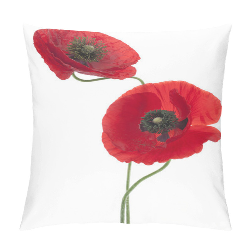 Personality  Poppy Flowers Pillow Covers