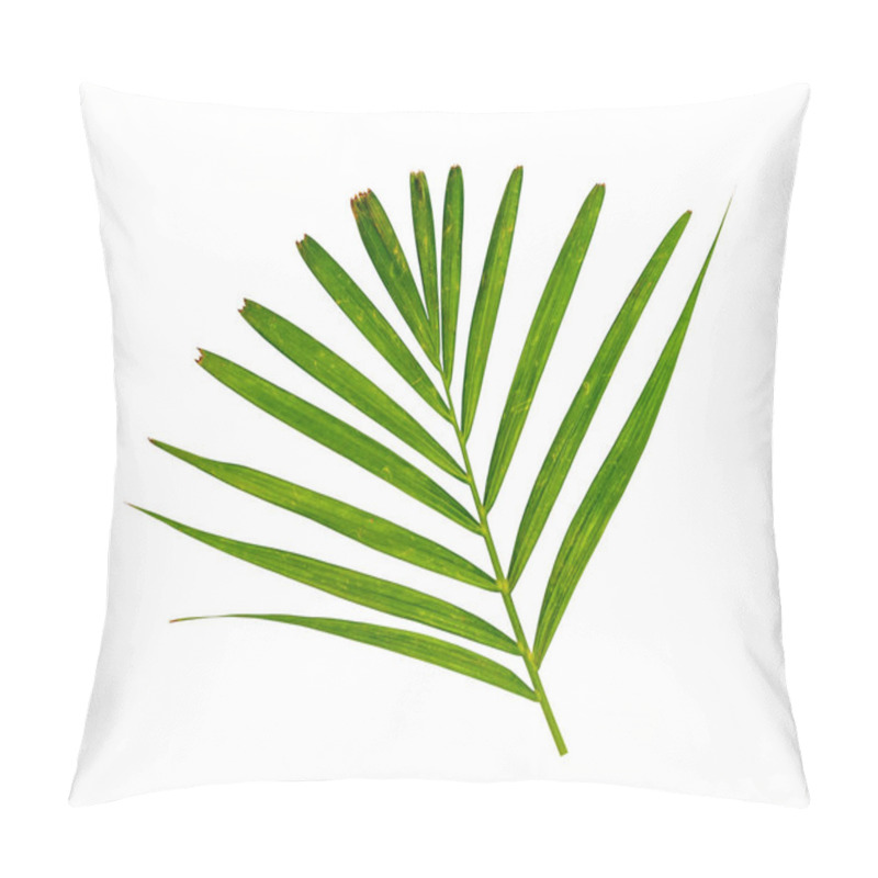 Personality  Green Leaves Pattern,leaf Yellow Palm Tree Isolated On White Background Pillow Covers