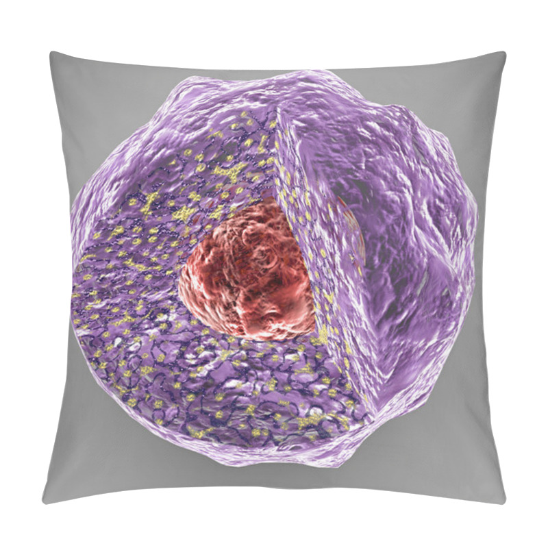 Personality  Nucleus, Nucleolus, Human Body Cell Pillow Covers