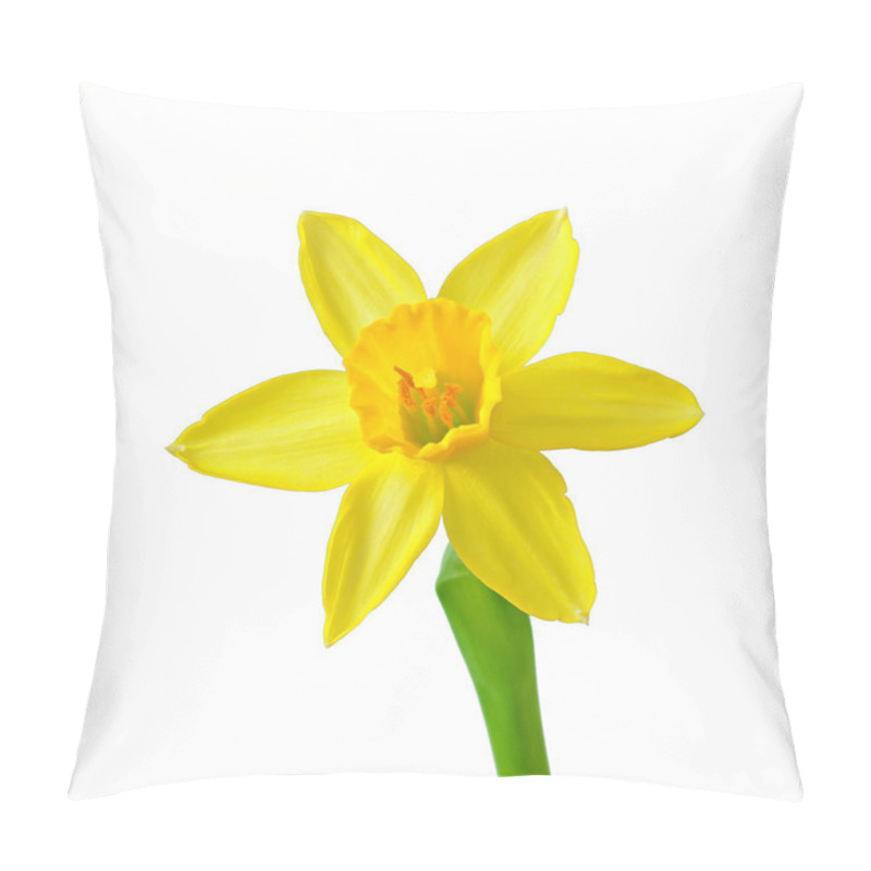 Personality  Spring Flowers Narcissus Isolated On White Background. Pillow Covers