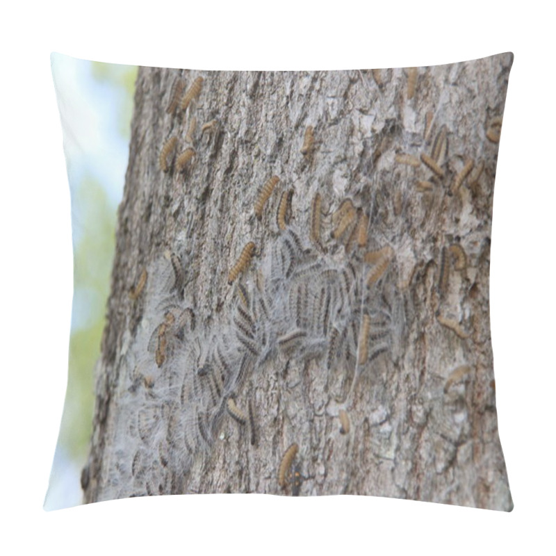 Personality  Oak Processionary Caterpillars In A Tree Where They Form A Nest In Nieuwerkerk Aan Den IJssel Pillow Covers