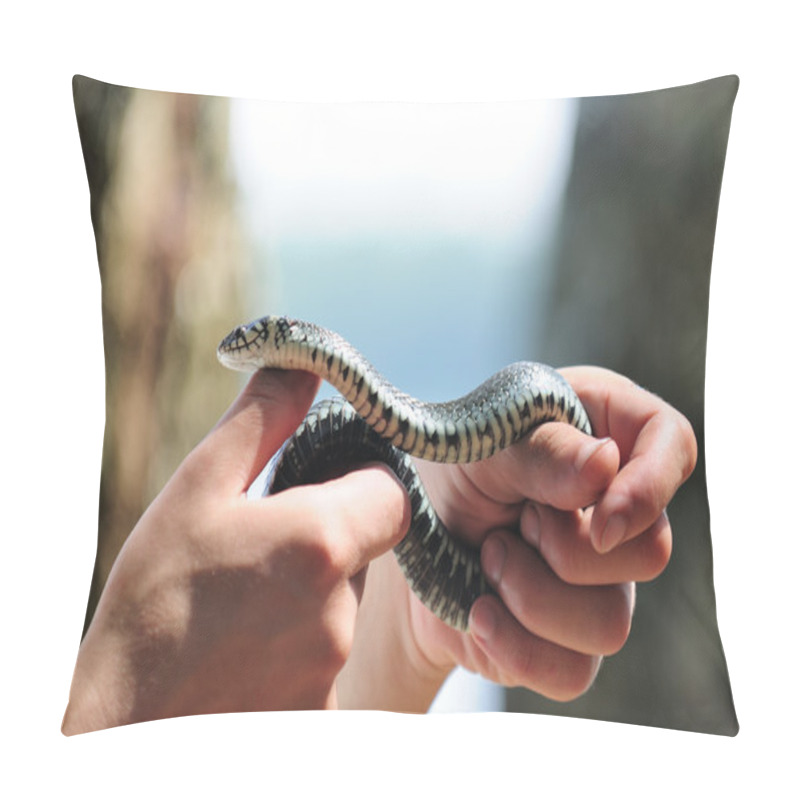 Personality  Hands Holding Common Water Snake (Natrix) Pillow Covers