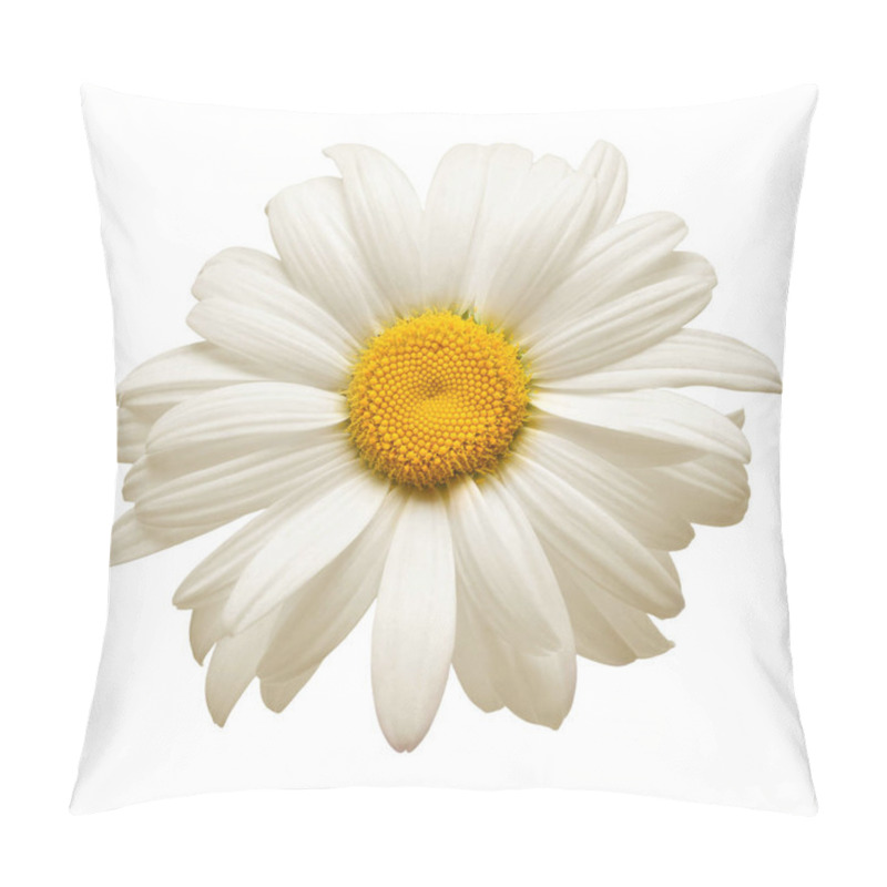 Personality  One White Daisy Flower Isolated On White Background. Flat Lay, Top View. Floral Pattern, Object Pillow Covers