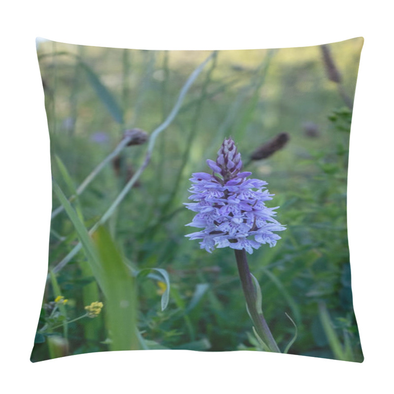 Personality  A Portrait Image Of A Purple Wild Marsh Orchid Shot In The Burren National Park, Ireland Pillow Covers