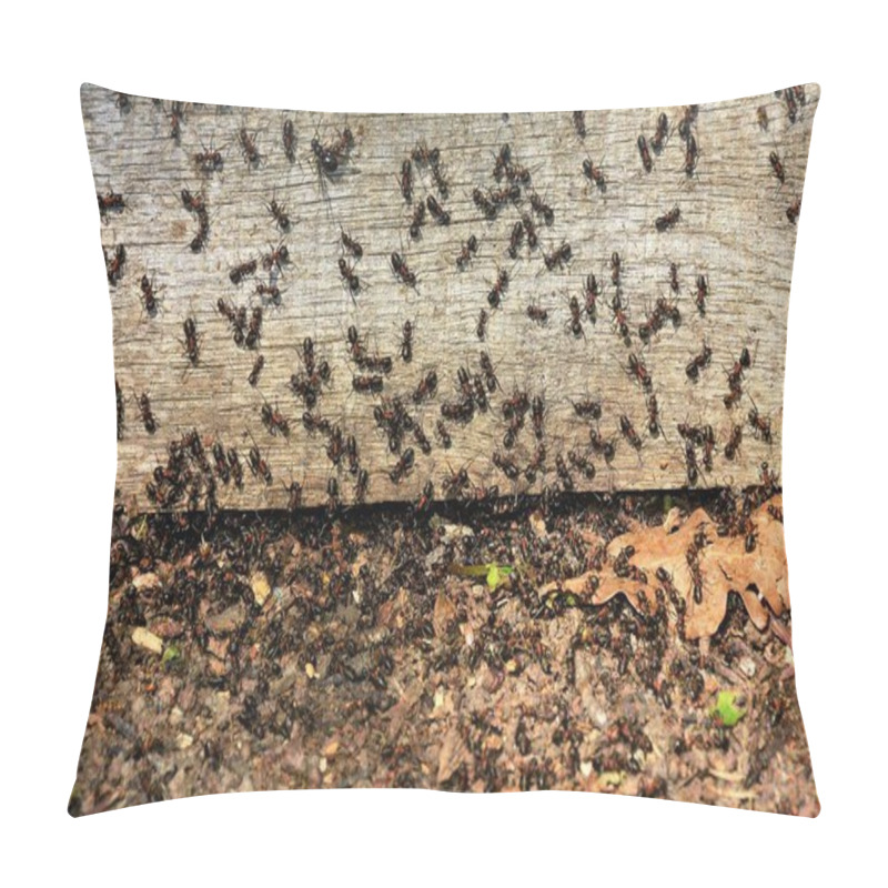 Personality  Many Ants On A Board Pillow Covers