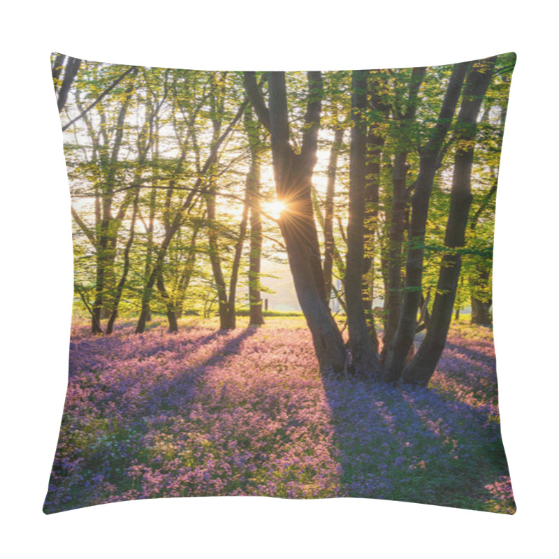 Personality  Stunning Majestic Spring Bluebells Forest Sunrise In English Countryside Hyacinthoide Non-Scripta Pillow Covers