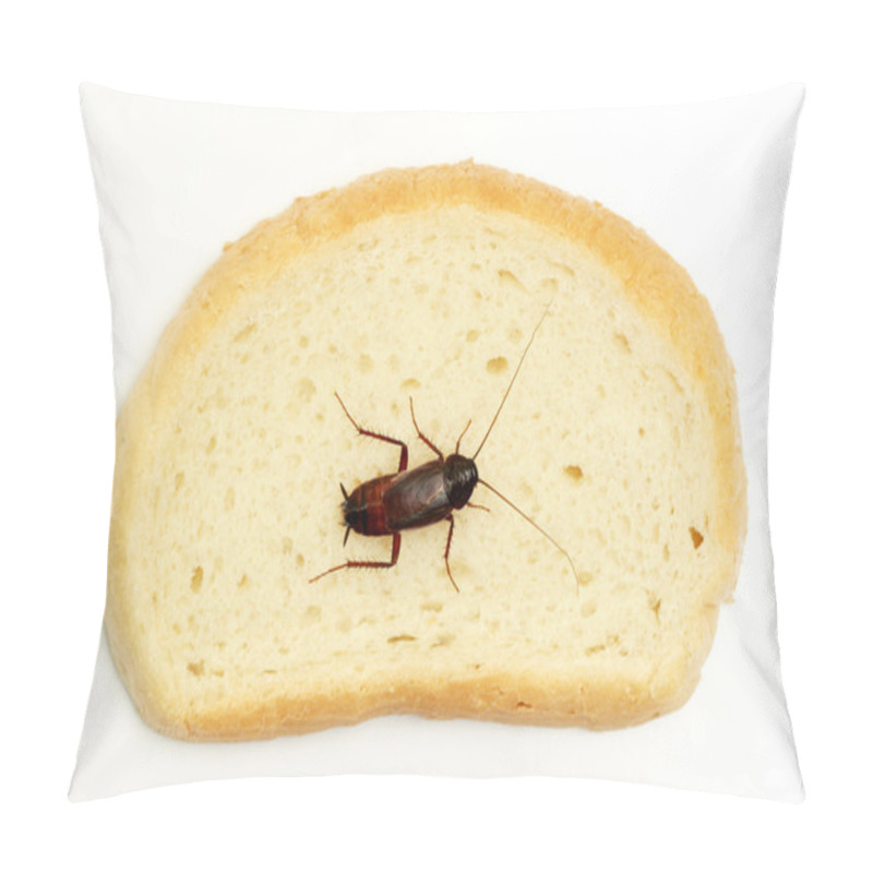 Personality  Cockroach On A Slice Of Bread Pillow Covers